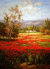 Unknown Artist Poppy Field Splendid Pathway painting